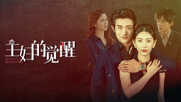 Sự Giác Ngộ Của Bà Nội Trợ Vietsub